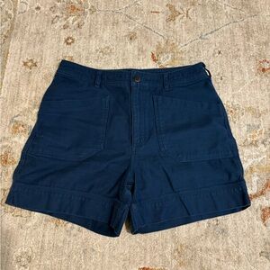 Patagonia Deep Blue Shorts
